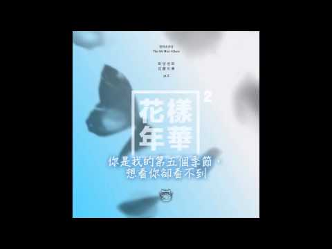 (+) 방탄소년단(BTS) - 08. 고엽 (화양연화 pt.2)