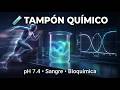 TAMPONES QUÍMICOS: Cómo tu sangre mantiene el pH 7.4