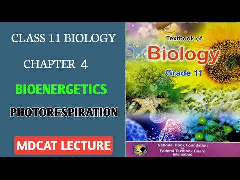PHOTORESPIRATION || BIOENERGETICS Federal Biology || PHOTORESPIRATION Mdcat lecture || C3 C4 pathway