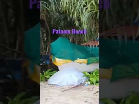 Video: Patnem Beach Goa: Ghid de călătorie esențial