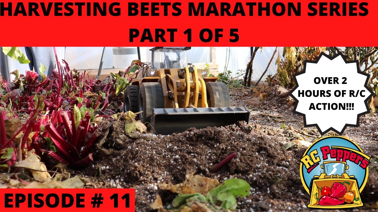 Mining for Beets! Part 1 of 5! - YouTube