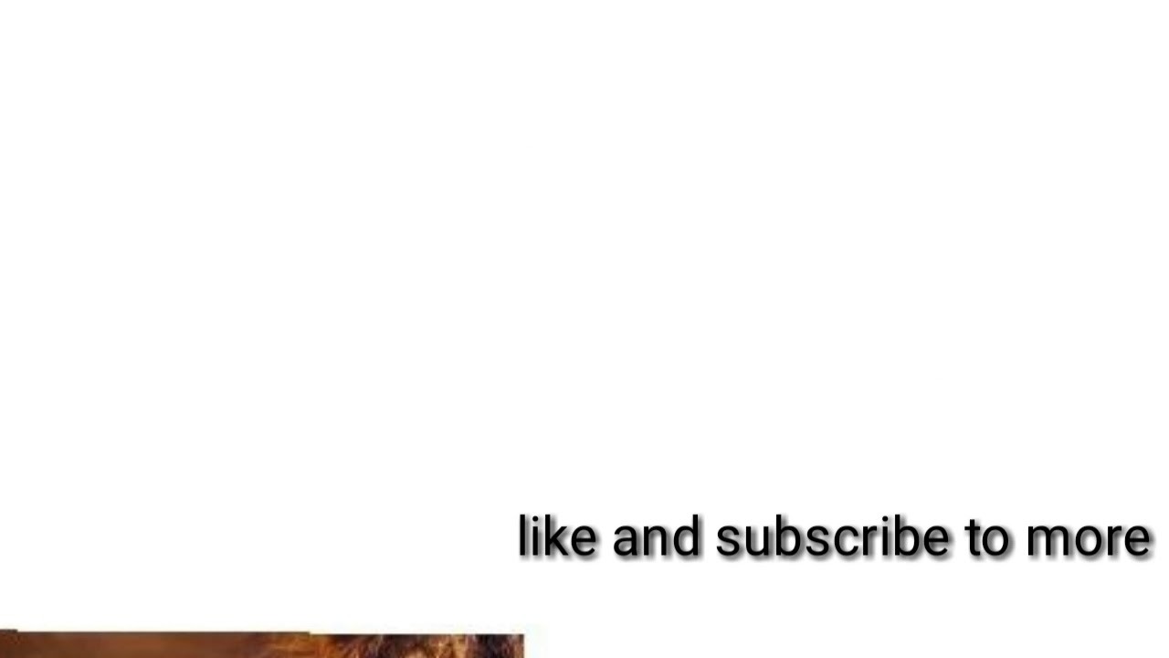 dagne walle wey finkich lyrics YouTube