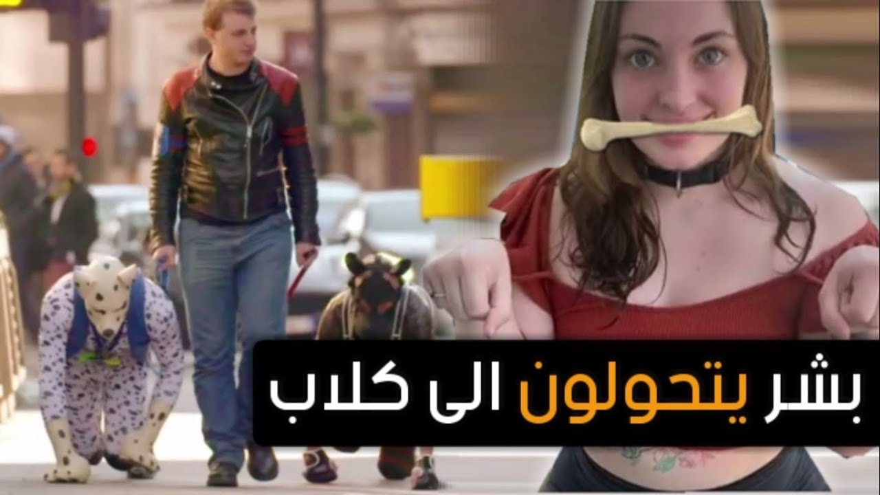 سكس كلاب وبشر