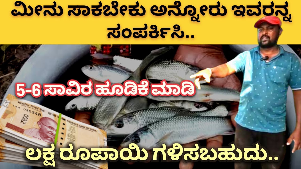 ಮೀನು ಸಾಕಬೇಕು ಅನ್ನೋರು ಇವರನ್ನ ಸಂಪರ್ಕಿಸಿ||5-6 ಸಾವಿರ ಹೂಡಿಕೆ ಮಾಡಿ ಲಕ್ಷ ರೂಪಾಯಿ ಗಳಿಸಬಹುದು||ಹಾವೇರಿ|ಶಿಗ್ಗಾಂವಿ