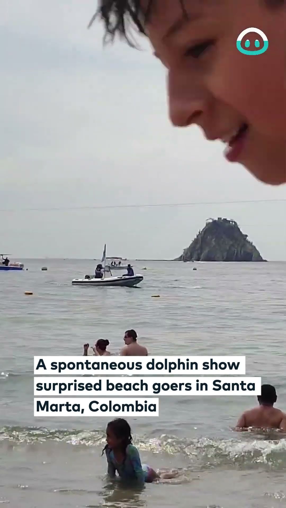 Dolphins Dance for Beachgoers || ViralHog