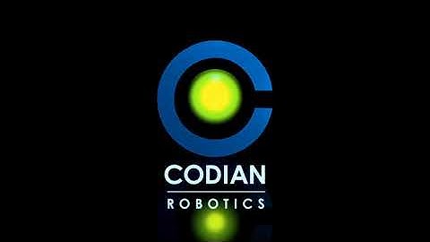 Codian Robotics Delta robots for Beverages