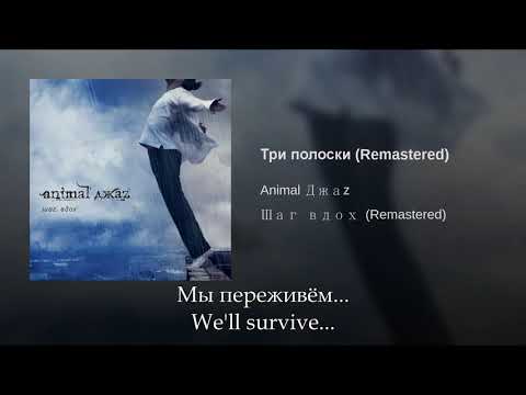 Animal Jazz - Три полоски, Russian lyrics + English  subtitles, Tri poloski, eng sub