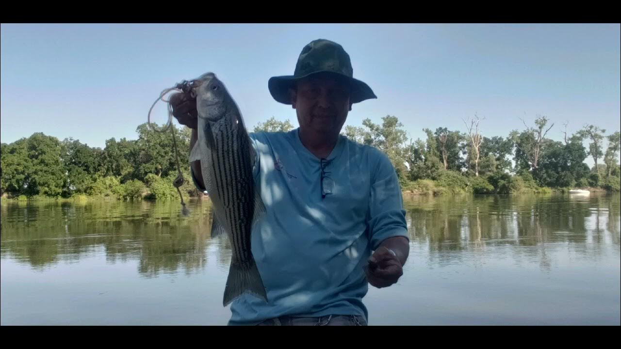 Striper fishing on Feather river YouTube