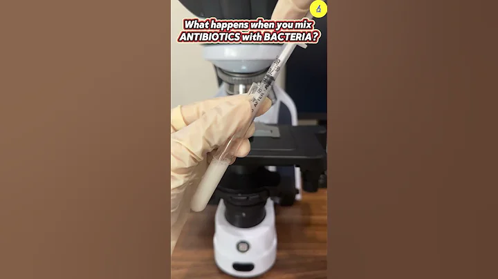 Bacteria And Antibiotic Under Microscope | TULO - Microscope #shorts #microscope #science