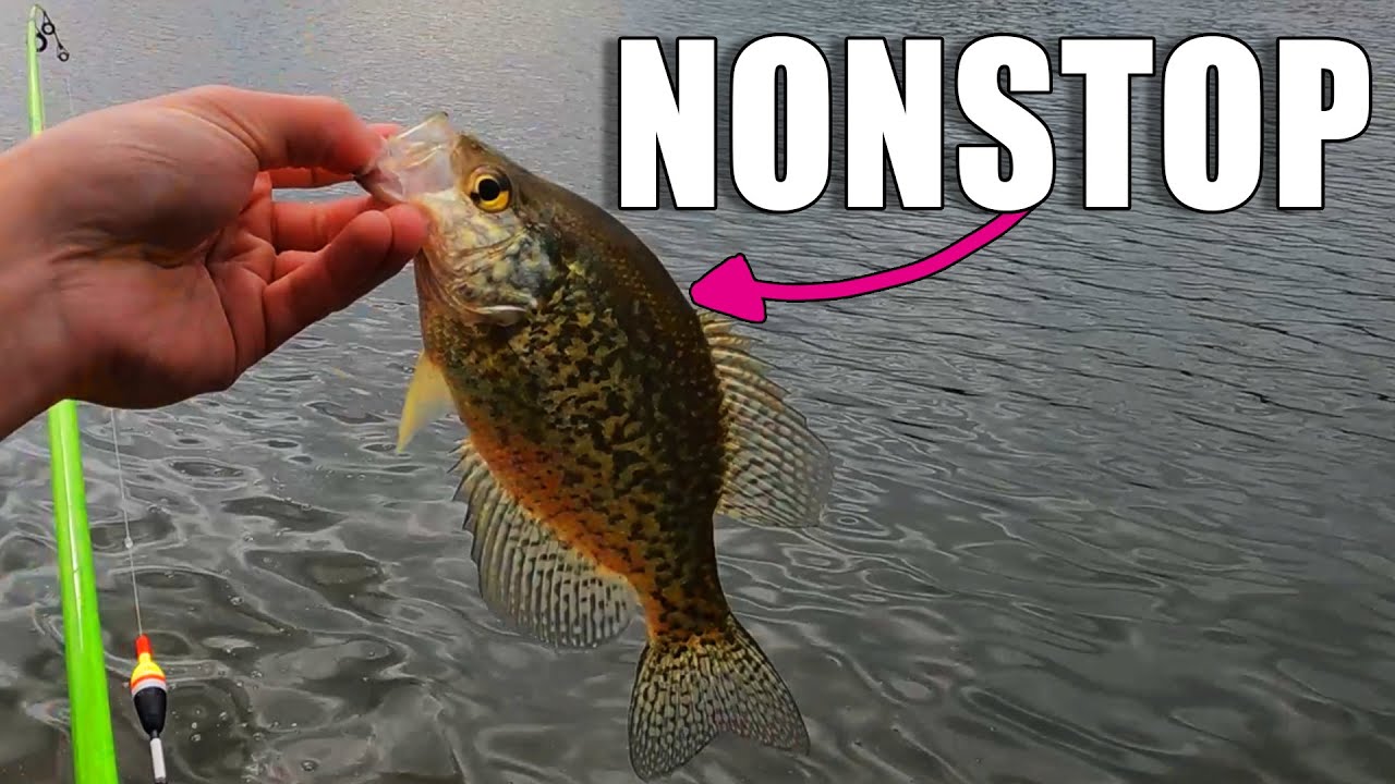 How I Catch Spring Pond Crappie in Ontario