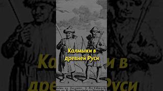 Калмыки в России. Мединский #историяроссии #историческиефакты #история #наука #научпоп #егэ