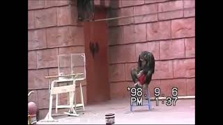 チンパンジーショー<2倍速>シャボテン公園 伊東旅行ー3(津山雄次)980905・06