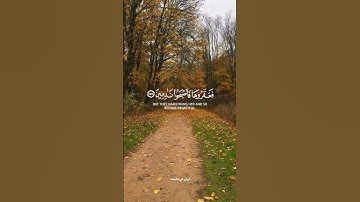 قران كريم ارح قلبك وسمعك #quran #المصحف #رعد_الكردي #قران_في_دقيقة #قرآن