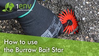 How to use the Burrow Bait Star