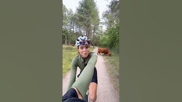 POV Gravel Ride in the Netherlands 🇳🇱 #gravel #gravelbike #insta360