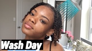 Wash Day Routine• Natural Hair| Zakiya Lindsay