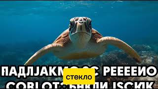 картинка: МОНАХИНЯ не переставала БЕРЕМЕНЕТЬ! Когда родился последний сын — 1 ШОКИРУЮЩАЯ деталь раскрыла ТАЙН