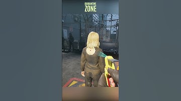 Average Day At Border Looking For Zombies #quarantinezone #diedevdie #gaming