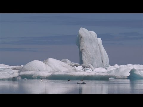 Video: Hoe Ysland Seevaardersdag Vier