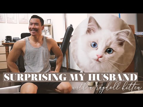 Surprising My Husband