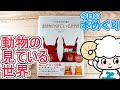 今日の本めくり〈創元社〉～『仕掛絵本図鑑　動物の見ている世界』～