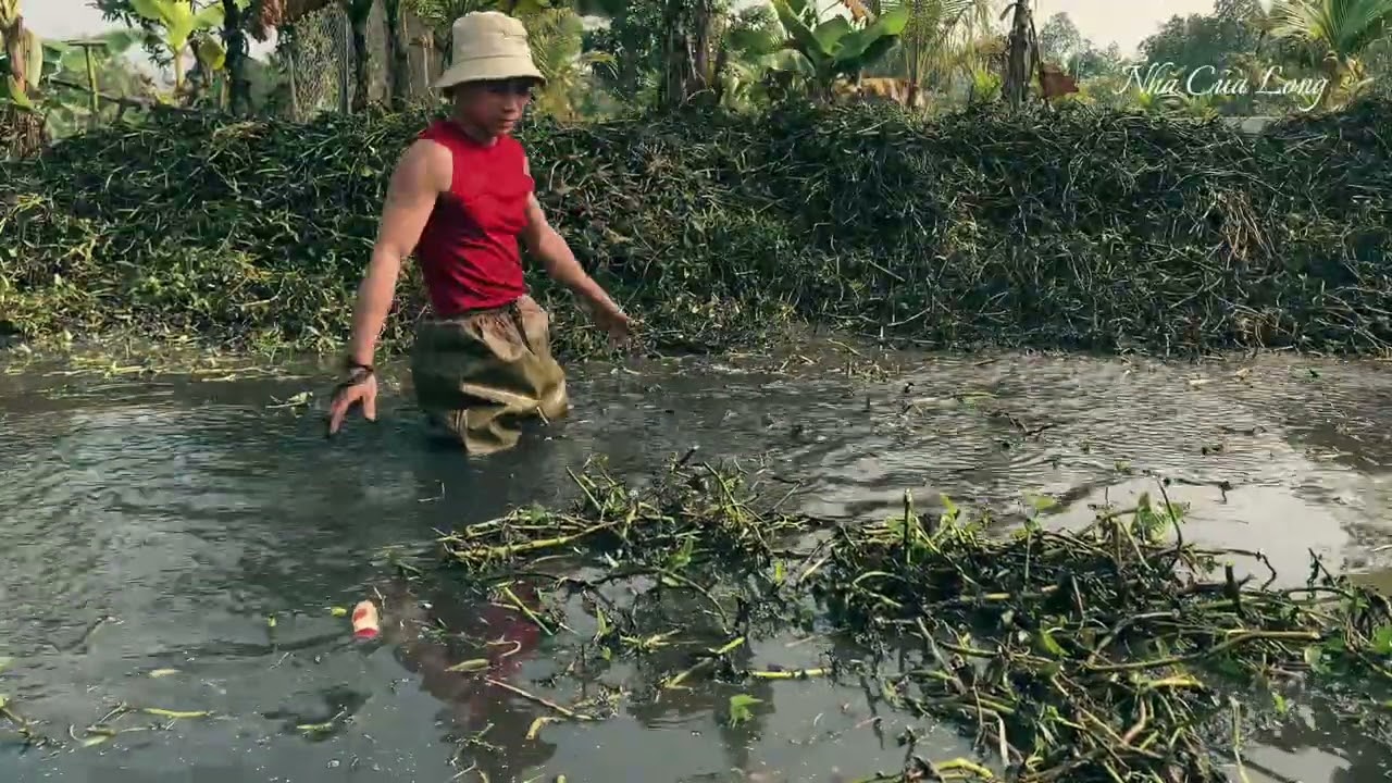Nhật ký một ngày làm nông dân thực thụ tại ao nhà ông Bao🌾|Nhà Của Long