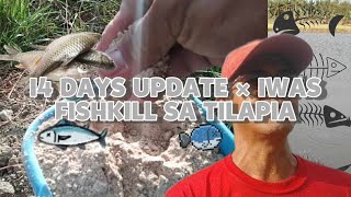 Tilapia Basic Tips 28  Tantyahan Ng Pagkain  Tips Para Iwas Fishkill  14 Days Update  Feeding