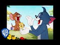 Tom und Jerry auf Deutsch 🇩🇪 | "Versuche, nicht zu lachen"-Herausforderung | WB Kids