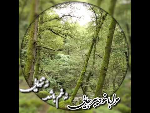 خام است هنوز بغض بی نام دلم که آن نگاه مبهم می زند آرام دلم ح بابازاده مریم نیلوفری
