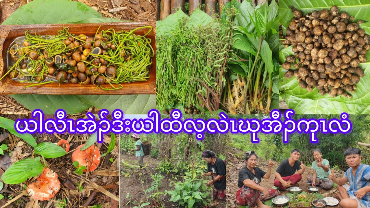 Mushrooms and vegetables soups ယါလီၤအဲၣ်ယါထီလ့လဲၤဃုအီၣ်ကုၤလံ