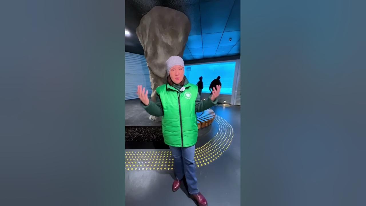 Новое уникальное место в Московском зоопарке – павильон «Ластоногие»! # ...