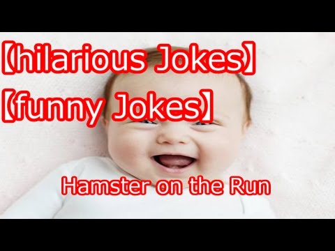 【Funny Story】Hamster on the Run