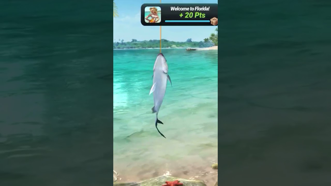 fish clash |best fishing game for android 