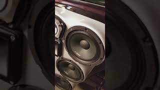 Mclaren sound systems mlm8a's -
