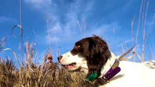 Learn to Upland Hunt with CZ-USA – Episode 2: Upland Field Ethics