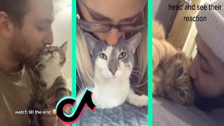 Kiss your pet on the head and see their reaction tiktok cat compilation