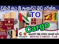 Dubai to sri lanka cargo service royal cargo service uae to sl