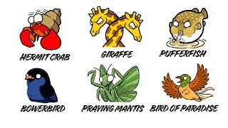 Worst MATING RITUALS  in the Animal Kingdom Explained