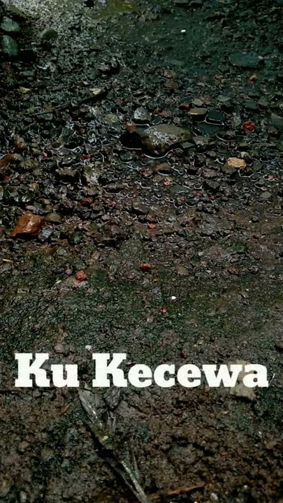 STORY WA - KU KECEWA ( DHYO HAW)