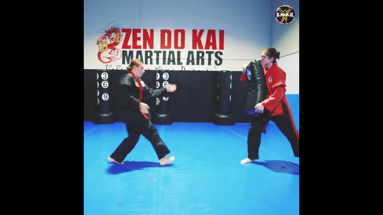Zen Do Kai classes - SMAC Gym Somerville - YouTube