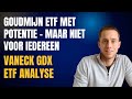 VanEck Gold Miners ETF (GDX) Analyse 2025 | Goudkoorts of Goudval? Let hierop voor je instapt!