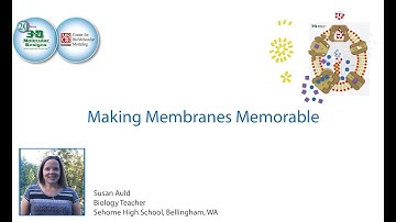 Making Membranes Memorable