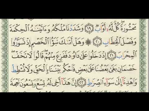 شرح تفسير لسورة ص من آية ١٧ إلى آية ٢٦ للشيخ فهد العمار