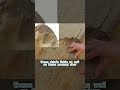 Credit: Bright Insight — Destroyed Pyramid Found Buried in Egypt - Lost Ancient Civilizations #fyp #