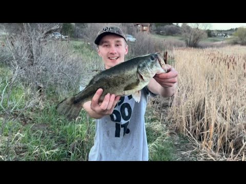 I catch MASSIVE bass on the pond!!! #bassfishing #fishing #largemouthbass #fishinglife