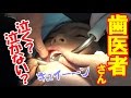 歯医者さんへ！歯を削る！泣くか？泣かないか？【虫歯治療】(2016.12.20) 【栢野紗奈】岡山県よりYouTube配信