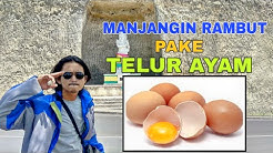 MEMANJANGKAN RAMBUT MENGGUNAKAN TELUR AYAM - Durasi: 7.51. MEMANJANGKAN RAMBUT MENGGUNAKAN TELUR AYAM - Durasi: 7.51.
