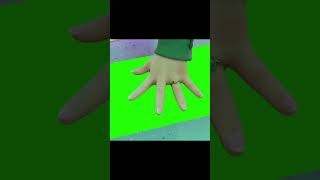 Turning Red Meilins Paper Green Screen