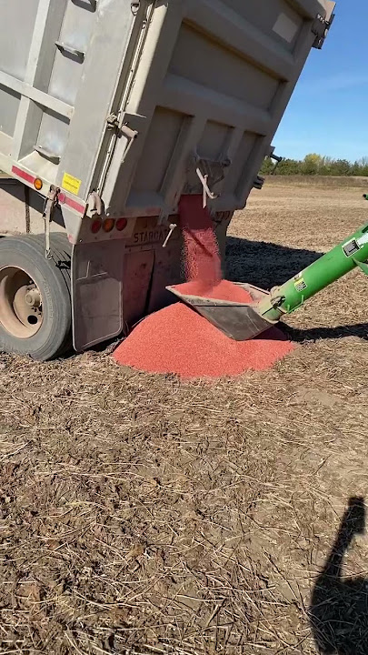 YouTuber Tries to be a Real Life Farmer!