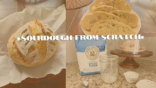 Creating a STRONG sourdough starter from scratch